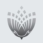 Pure Parima discount code